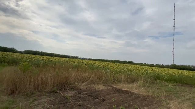 Строительство домов из Арболитовых блоков в Крыму, Арболит Юг
