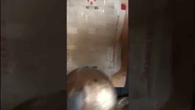 Подъем гирь на бицепс 29кг+29кг.Личный вес 65кг. смотреть онлайн