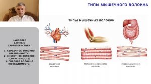 Физиология мышечного сокращения.mp4