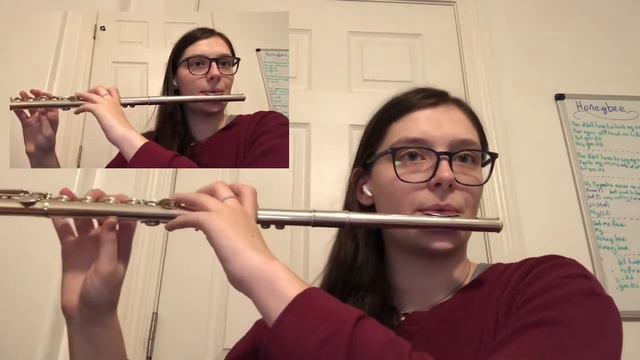 Menuett — Boismortier — Flute Duet смотреть онлайн