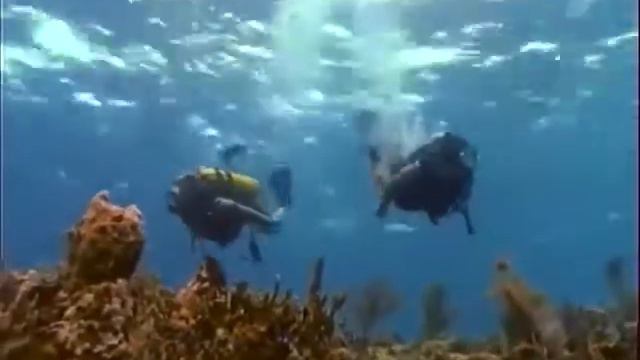 Бермудский треугольник 1996Bermuda Triangle