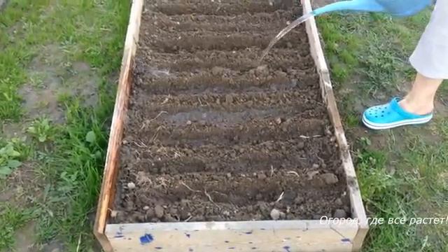 Подробно о посадке лука и морковки.mp4 смотреть онлайн
