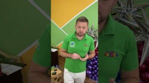 Мастер-класс Globos Payaso_Елочка