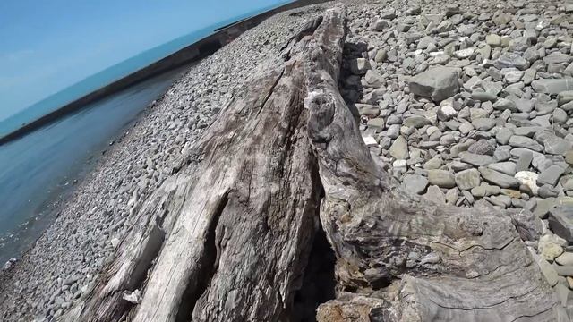 СОЧИ. ХОСТА  Мыс Видный  Дикий Пляж ..