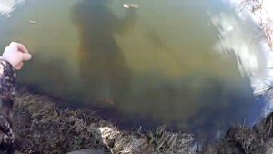 Ловля голавля ранней весной на куриную печень. Рыбалка в конце марта