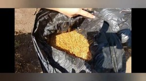 Особенности приготовления рисовой шелухи. Ошибки при ферментации рисовой шелухи.