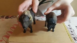 Обзор фигурки американского бизона (Papo, 2010)