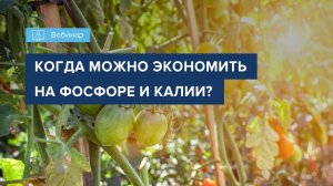 Вебинар "Когда можно экономить на фосфоре и калии?"