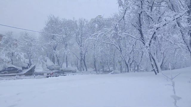 Снегопад во Владивостоке март 2023 смотреть онлайн