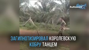 Индиец заворожил смертельно ядовитую кобру танцем