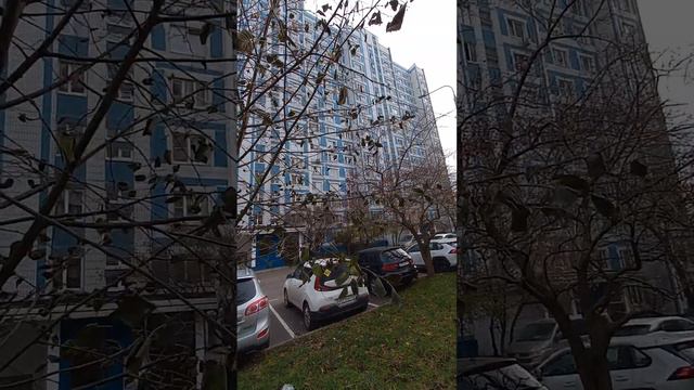 Что  значит договор исполнен