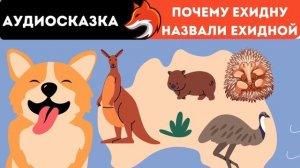 Аудиосказки Для Всех | Почему Ехидну Назвали Ехидной