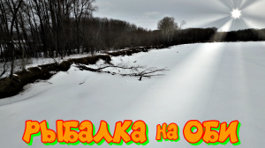 НЕ СМОГ ОТОРВАТЬ ЕЁ ОТ ДНА, А ПОСЛЕ ОНА... Очень трудовая РЫБАЛКА НА ОБИ в марте 2024!