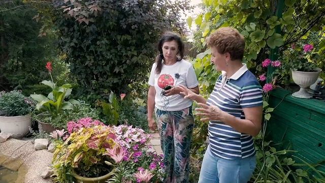 В деревне как в Италии смотреть онлайн