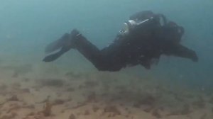 Rebreather Diving La Jolla Shores 2/9/19