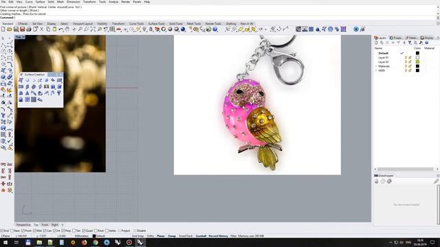 Как разместить и настроить изображение в Rhinoceros смотреть онлайн