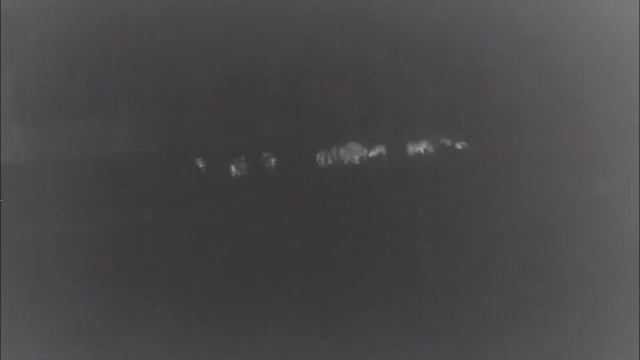 Pirsch auf Schwarzwild zu zweit, gefilmt mit der Pulsar Helion XP 38 смотреть онлайн