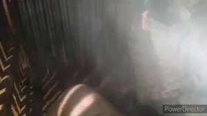 Кострация хряка на 150 кг в одного с нейротрангом.