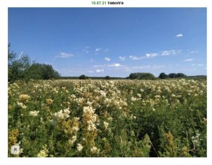 Великий Русский Северный Путь. 13 серия Пошехонье - Кукобой