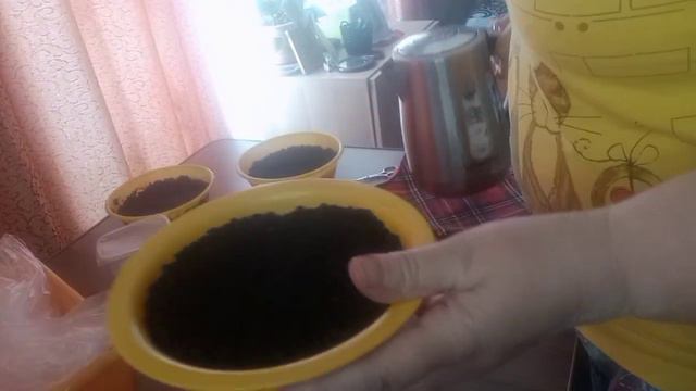 Жизнь в деревне.Лучший способ посева ПЕТУНИИ .Мастер класс по посеву ПЕТУНИИ . смотреть онлайн