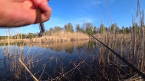 ЛОВЛЯ ЛЕЩА НА ПОПЛАВОК И МОРМЫШКУ