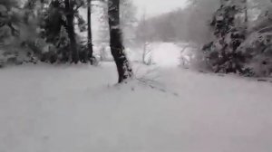 Озеро Тельвяково