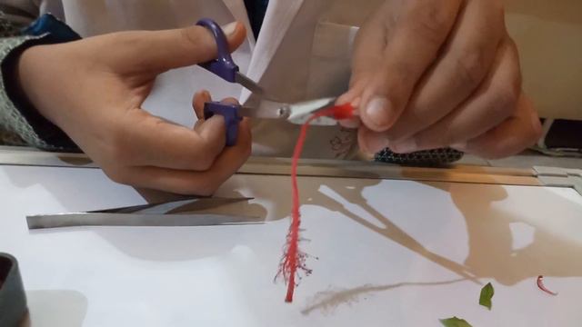 Dissection of Hibiscus flower by DS *4523** смотреть онлайн