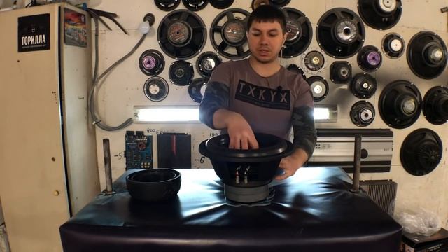 Обзор сабвуфера EDGE EDB12D2-E7 стоимостью 6370 рублей смотреть онлайн