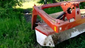 Подсеянный весной горох: состояние перед скашиванием