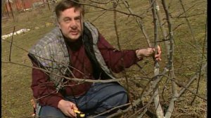 Советы Андрея Туманова