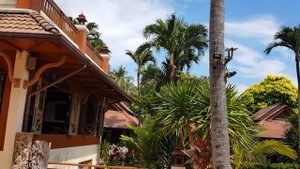 #Aloha Resort Samui, #обзор, #отдых в тайланде!