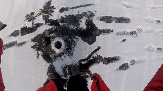 Самый уловистый БАЛАНСИР №1 для торфяников смотреть онлайн