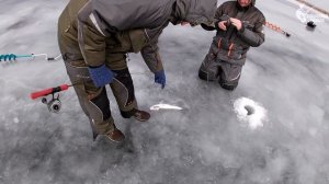 НУ КУДА СТОЛЬКО? ПОЛНЫЕ САНИ СУДАКА. Рыбалка со льда на вибы