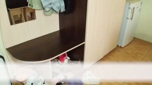 Летний отдых островных школьников на базе лагеря «Лучистый» (г. Евпатория, Республика Крым)