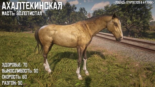 ЛУЧШИЕ ЛОШАДИ! - Red Dead Redemption 2