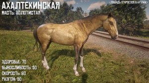 ЛУЧШИЕ ЛОШАДИ! - Red Dead Redemption 2