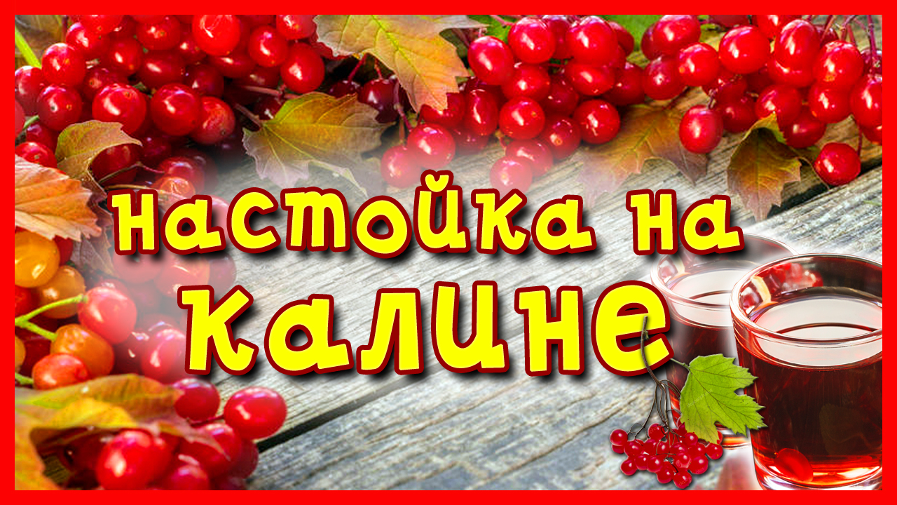 Настойка на калине на самогоне. Калина красная в самогон. Настойка на калине на самогоне рецепт. Самогон на калине красной рецепт.