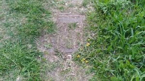 #БУТОВО. Заброшенная железная дорога в Коммунарку и Восточный Полянский пруд.