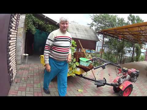 ОСЕННИЕ ХЛОПОТЫ .