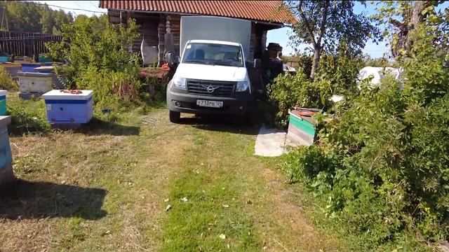 Обзор стационарной пасеки, обход местности, кто еще живёт в пустых ульях :) смотреть онлайн