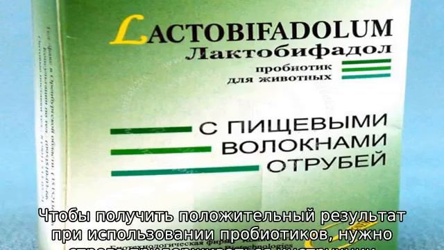 Пробиотики для бройлеров (название)