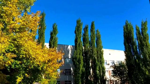 Кто сказал, что вы пожилые?! стихи поздравления смотреть онлайн