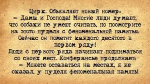 Чукча в Окопе и Немецкий Зольдатен! Сборник Самых Свежайших Анекдотов!