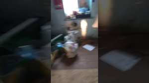 Установка линз в Ауди А6 С4