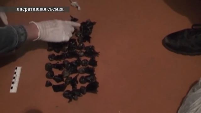 Наталья Горохова.mp4