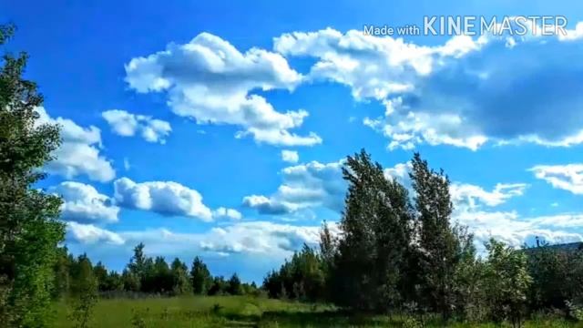 #ЭкхартТолле СилаНастоящего Все проблемы-#иллюзияума
