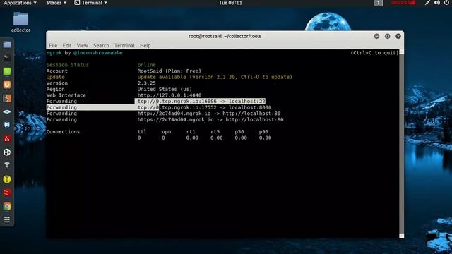 Adding Multiple Ngrok Tunnels in Free Version смотреть онлайн