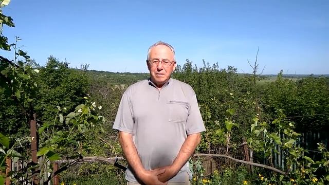 @Начинающему виноградарю  Уход, защита винограда 2019 весной
