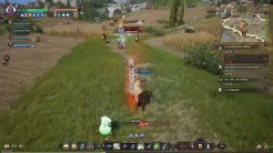 Throne and Liberty GamePlay PVP