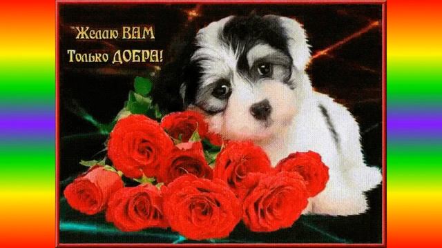 Хорошего вам настроения желаю от души смотреть онлайн